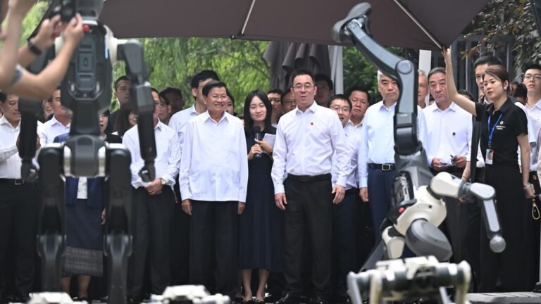 A Chinese start-up’s dilemma exposes cracks in Beijing’s tech funding