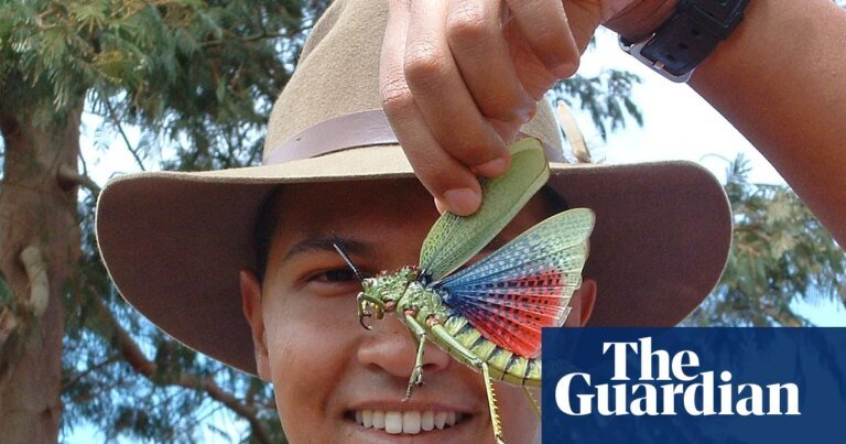 Sex-loving hookworms and other peculiar parasites: one man’s mission to champion nature’s villains | Global development