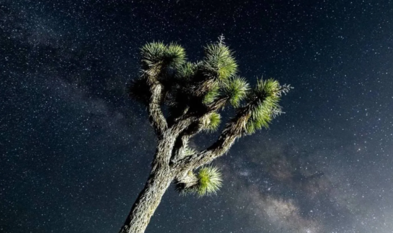 Natural sugar floating in space between stars | Panorama
