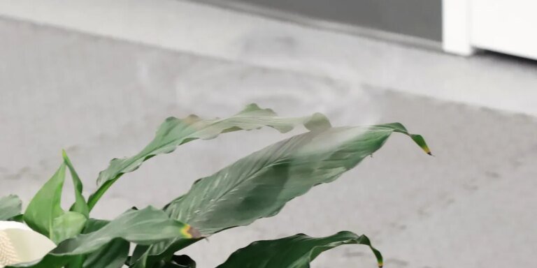 AI Design Makes a Wild Invisible Spinning Drone