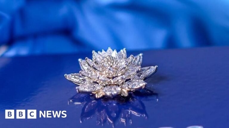Vikram-1: India's first private space rocket by Skyroot to carry diamond flower – BBC