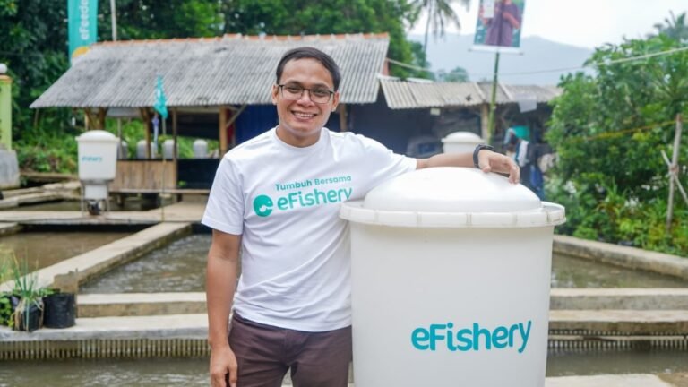 When Unicorns Turn Out to be Myths: What the eFishery Saga T…