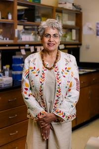 UH researchers discover potential breakthrough for Crohn’s disease treatment