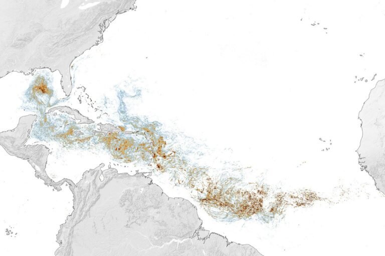 Sizing Up the Sargassum Belt – NASA Science