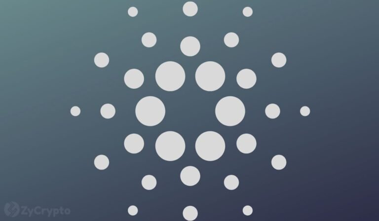 Whales Control 68.76% of Cardano Supply While ADA Price Drops 70%, What Do They Know Retailers Don’t? ⋆ ZyCrypto