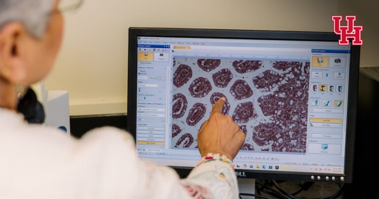 UH Researchers Find Potential Breakthrough for Crohn’s Disease Treatment