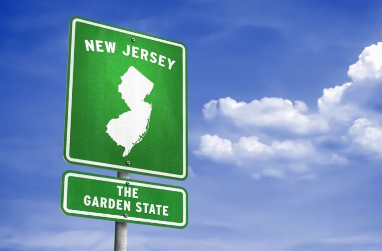 Navigating New Jersey’s Data Broker Registration and Sensitive Data Restrictions, Joe Brown