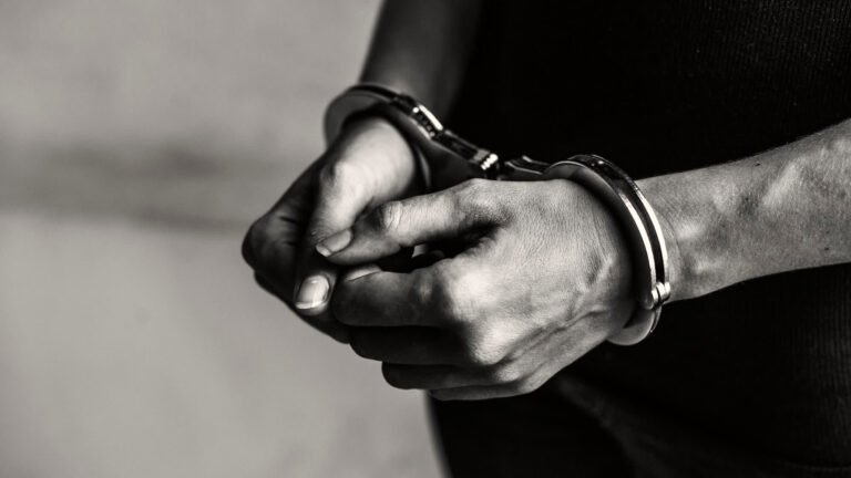 FBI arrests 21-year-old accused of infecting 8,000 PCs with malware through fake Steam games