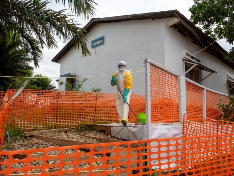Ebola deaths in DRC surge past 1,300 as virus ‘spreading like a wildfire’ | Ebola News