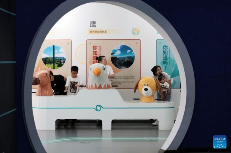Science museum in NE China attracts students during summer vacation-Xinhua
