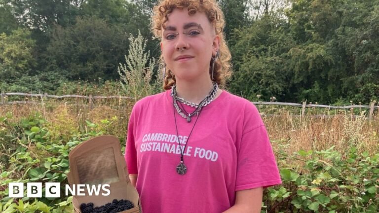 Cambridge makes blackberry boxes for low-income families