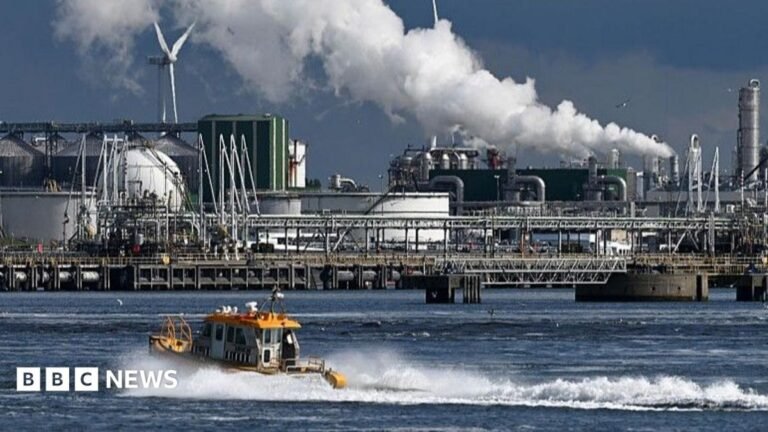 Rotterdam: Pressure builds on Europe’s biggest port to be greener