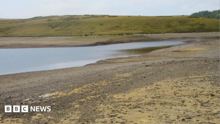Drought declared for whole of Wales amid sustained high temperatures