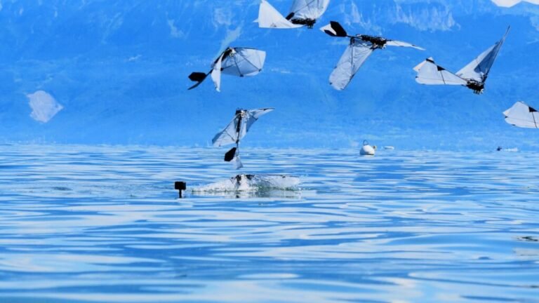 A flapping robot swims and flies like a diving bird