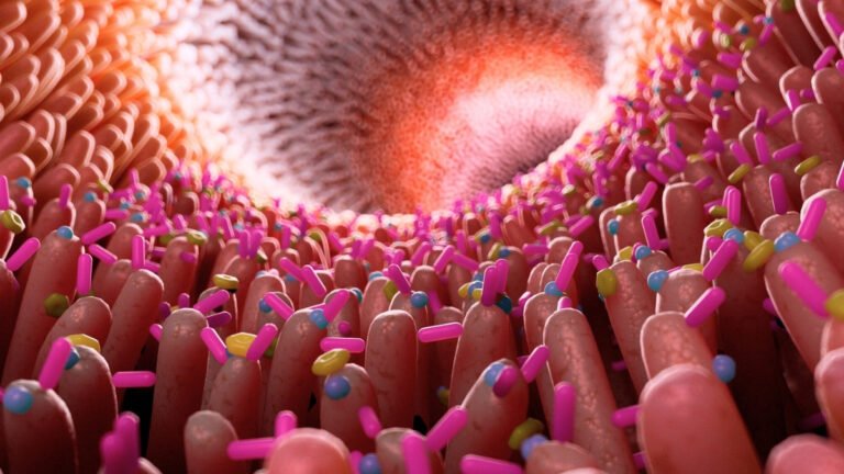 Scientists Reveal How Gluten Reactions in The Gut Lining Lead to Celiac Damage : ScienceAlert