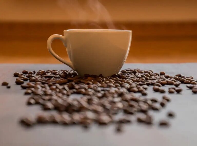 ‘The Java Story’ comes to YouTube