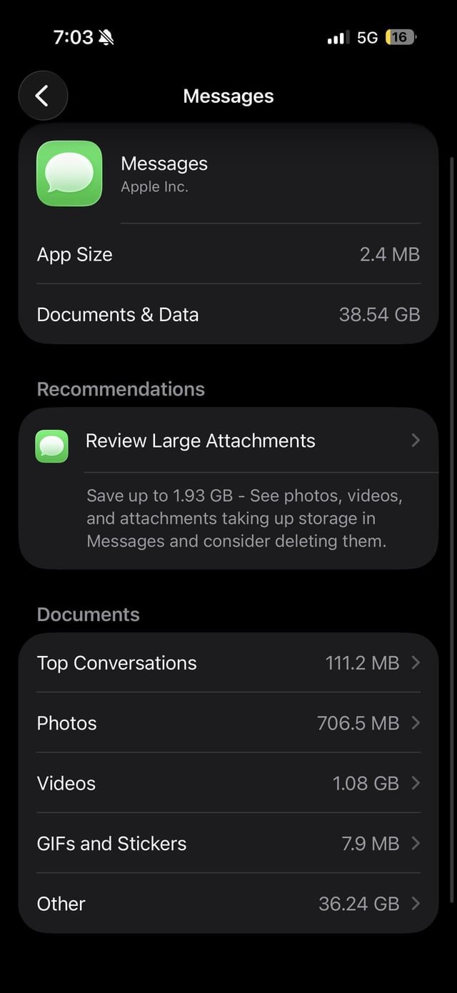 iPhone “Other” Message Huge