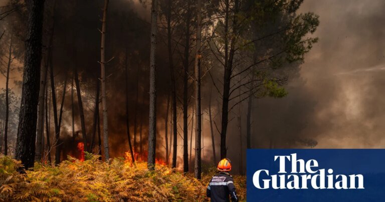 ‘Extremely scary findings’ show climate crisis is supercharging Europe’s wildfire weather | Wildfires