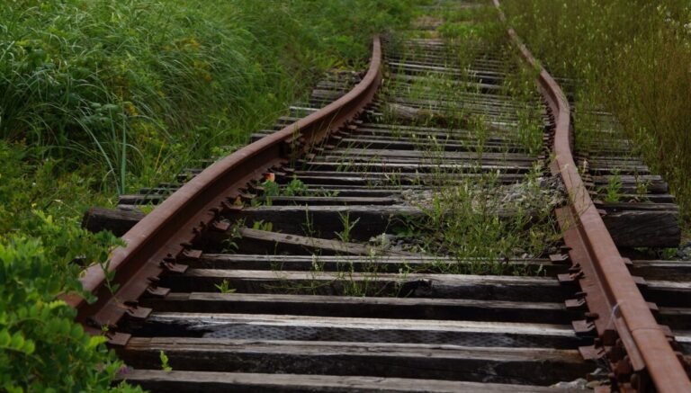 Stadler Rail scoffs at Everst’s $12.3M extortion attempts