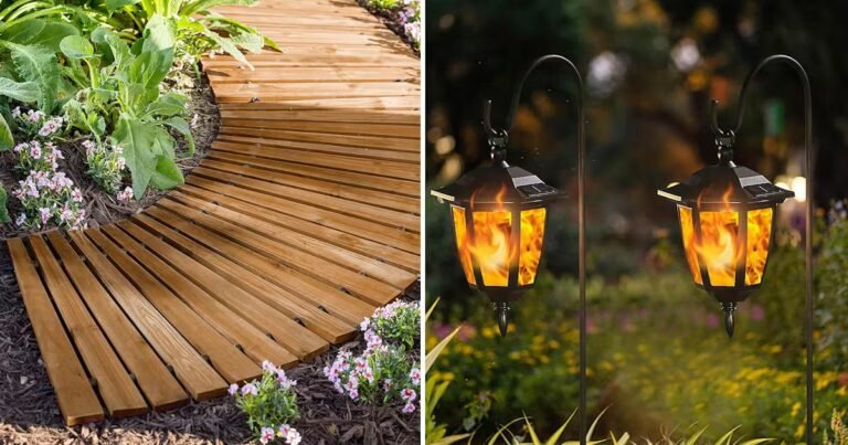 55 Weird Things for Your Backyard That Are Kind of Life-Changing