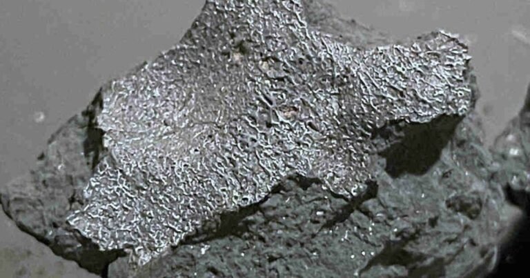 Meteor breakthrough as ‘alien world’ fluids found in fallen rock – Space News – News