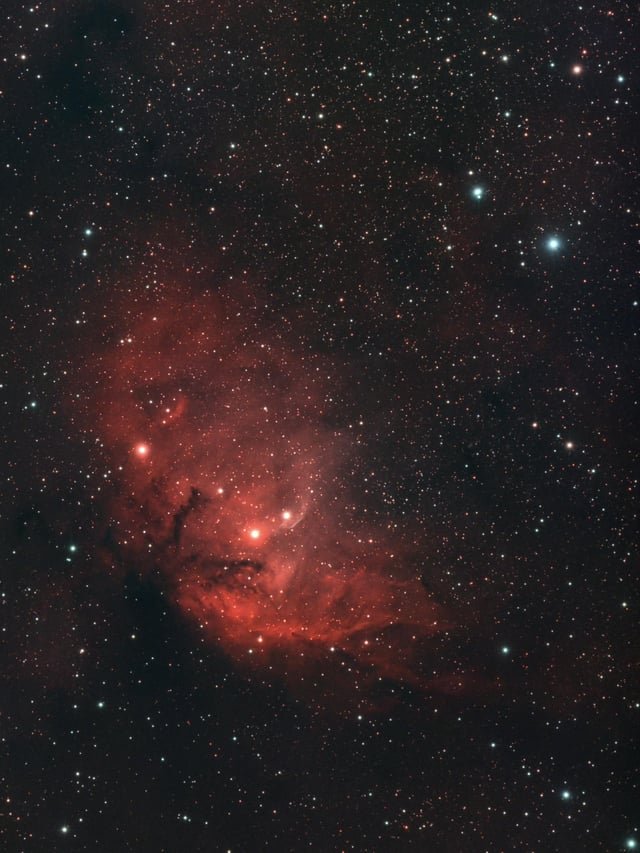 The Tulip Nebula
