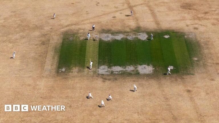 UK weather: England and Wales on course for driest July on record