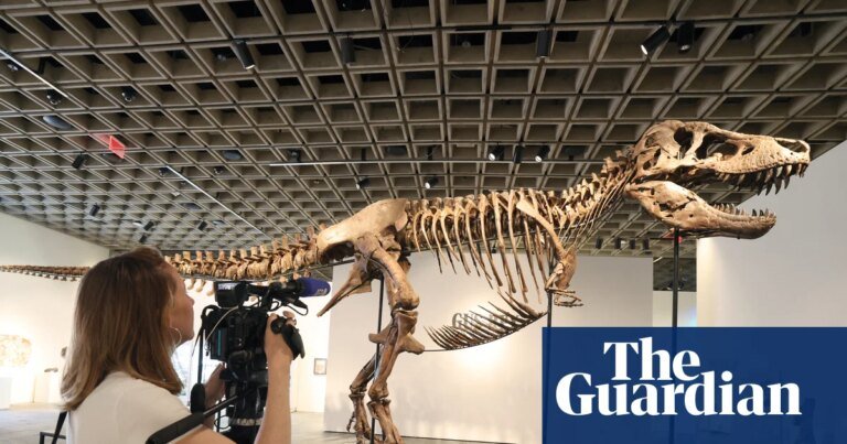 Sale of multimillion-dollar T rex skeleton is big headache for scientists | Dinosaurs