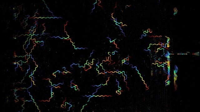Researchers have developed a new high-throughput microscope for large-scale imaging of dynamic samples