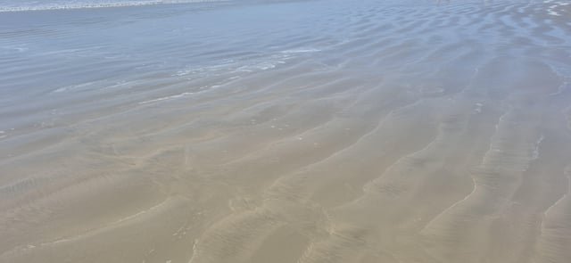 Was walking on the beach and noticed these bumps. Can someone explain why they form?