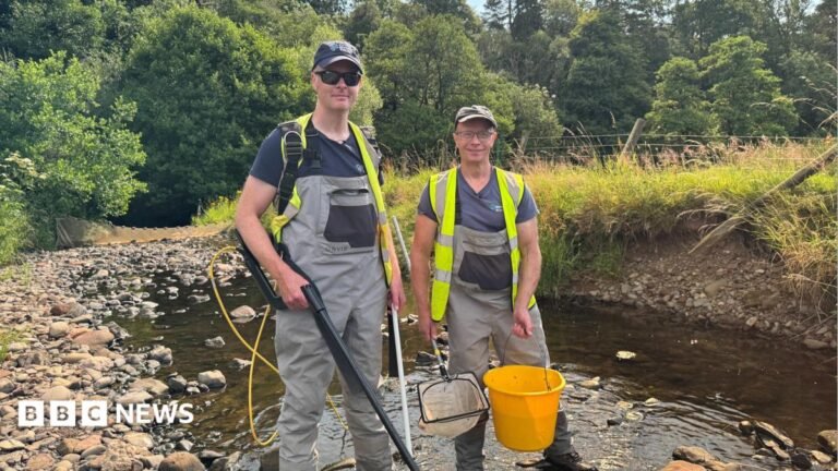 Longtown weir demolished to help endangered eels