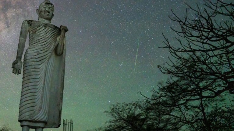 2 meteor showers are about to peak on the same night — what to know about the Delta Aquariids and Alpha Capricornids