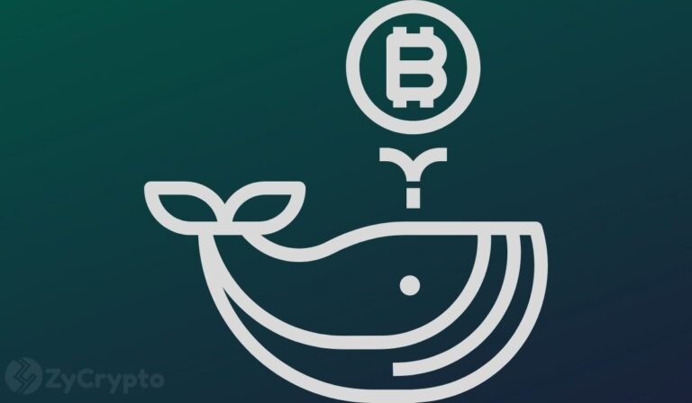 Bitcoin Whales Accumulate 66.7K BTC as Smaller Fish Dump Heavily ⋆ ZyCrypto