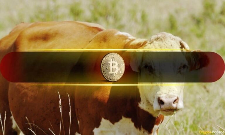 Bitwise CIO Predicts the Biggest Crypto Bull Market Yet