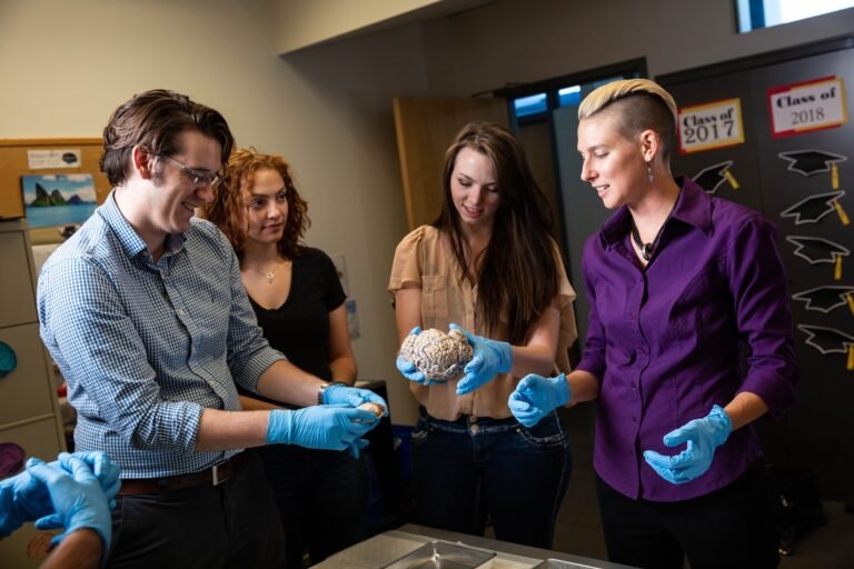 ASU’s first human MRI enables breakthrough clinical studies
