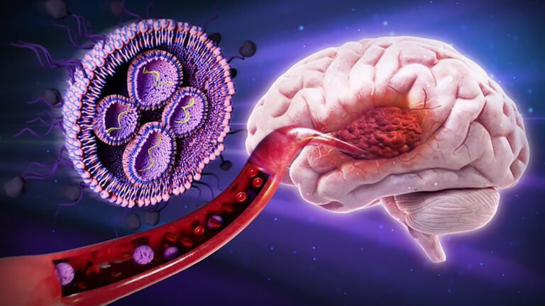 Sugar-Coated Nanoparticles Shrink Deadly Brain Tumors in Mice : ScienceAlert