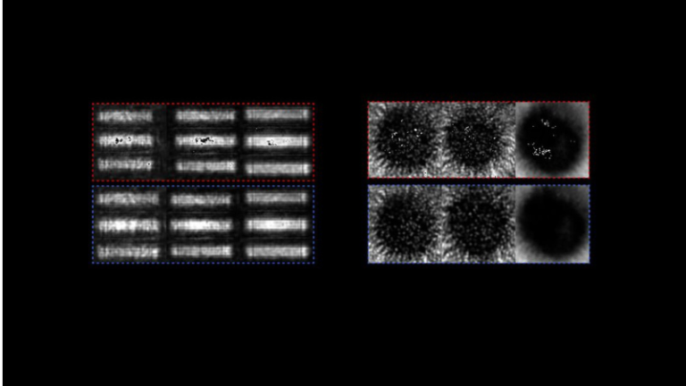 Biomedical Imaging, Autonomous Vehicle Sensors May Get Boost from AI Designed for Physical Signals