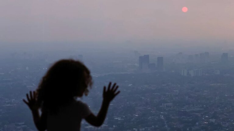 Wildfire Smoke Can Attack Almost Every Part of Your Body – Not Just Your Lungs : ScienceAlert