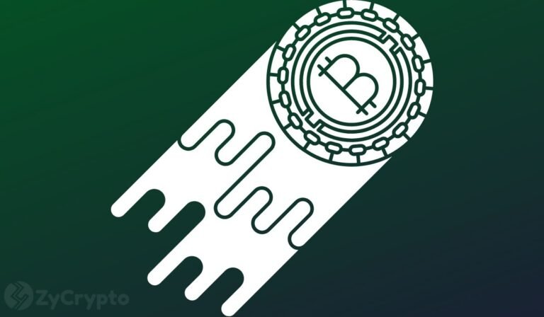 Predictions For Bitcoin’s Price Bottom Roll In, Here Are The Most Notable Ones ⋆ ZyCrypto
