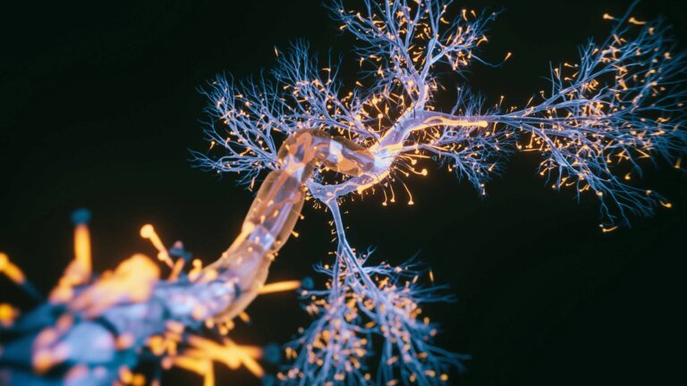 Mayo Clinic builds on breakthrough discoveries to advance care for ALS and FTD