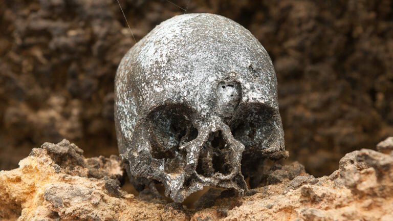 ‘Clear Evidence’: Ancient DNA From Chilean Mummies Reveals Who Brought Smallpox to The Americas : ScienceAlert