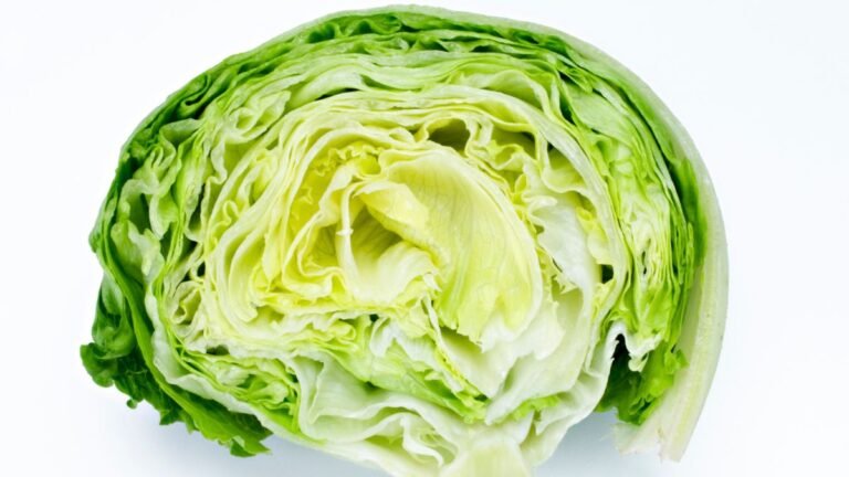 Iceberg Lettuce Has Been Implicated in The US Cyclospora Outbreak – Here’s How You Should Prepare Your Salad : ScienceAlert