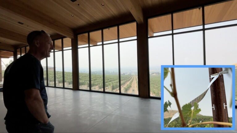 New winery uses solar power and innovative technology to build a more sustainable future – LocalNews8.com
