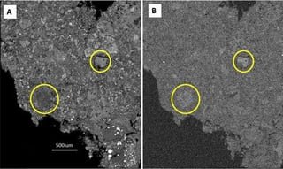 NASA Study of Pristine Meteorite Adds to Story of Ancient Asteroids | Meteorite That Crashed Into New Jersey Home Contains Rare Ingredients of Life