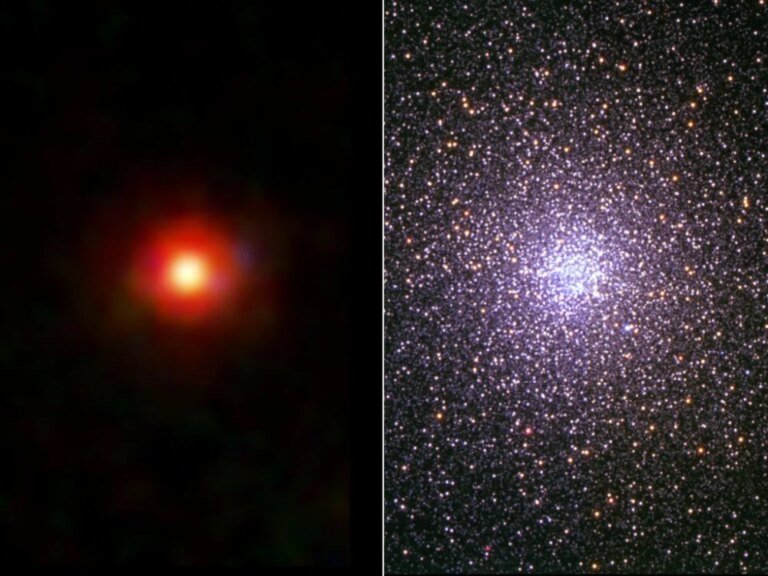 Little Red Dots Could Be Ancient Globular Clusters, Each Dominated by a Super-Massive Star