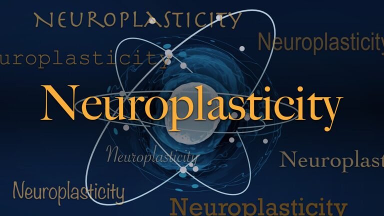 Science word of the day: Neuroplasticity