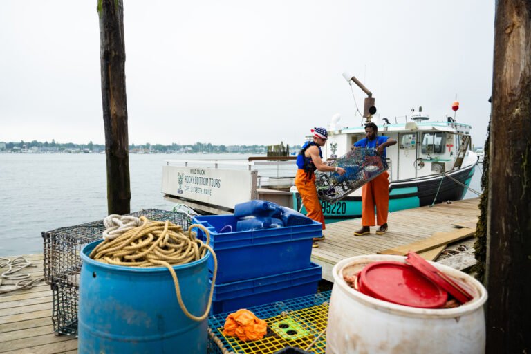 Seafood Processing Gets AI and Robotics Boost in New England
