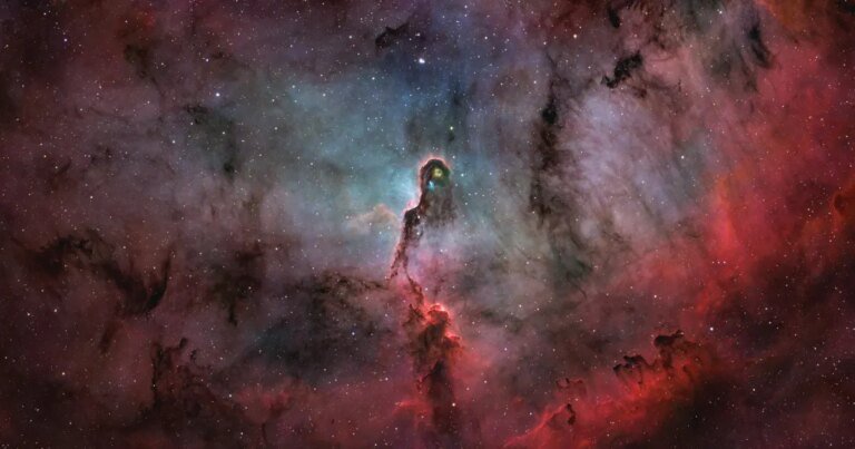 A dusty trunk | Astronomy Magazine
