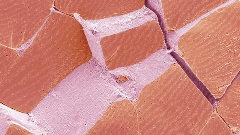 Test Your Eyes: What Is This Week’s Microscope Mystery? : ScienceAlert