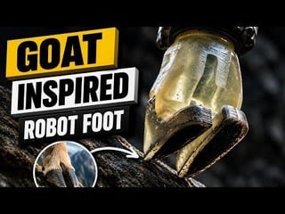 Why Robots Can’t Walk Up a Wet Hill (And How a Goat Solved It)
